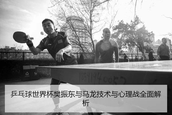 乒乓球世界杯樊振东与马龙技术与心理战全面解析